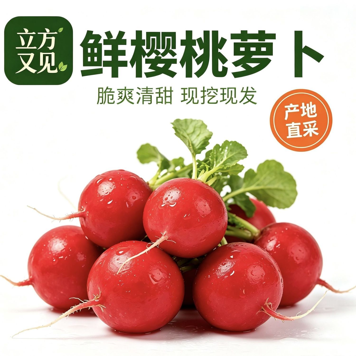 云南新鲜樱桃萝卜红皮脆甜小萝卜通用泡菜萝卜