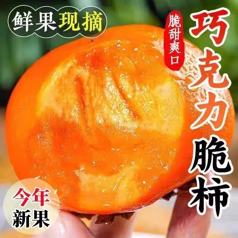 新鲜脆甜阳丰脆脆柿应季正宗柿子巧克力现货冰糖无核批发当季水果