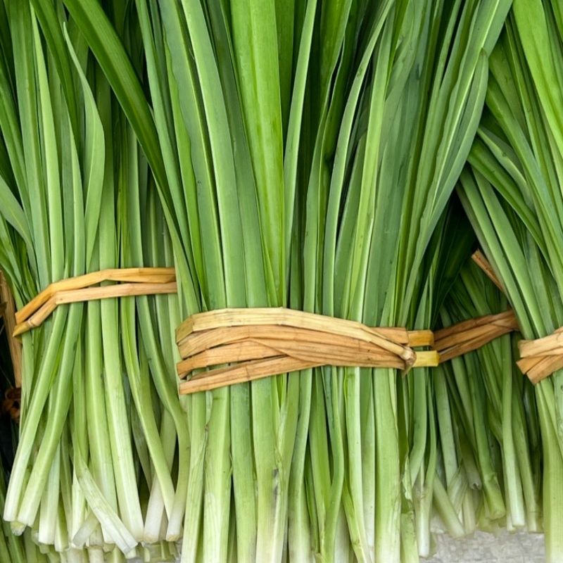 粤北山区观音菜石韭菜原生态新鲜蔬菜口感清香脆嫩3斤起包邮