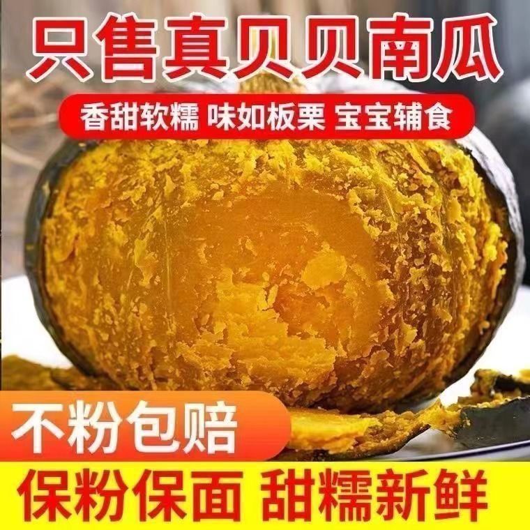 正宗真贝贝南瓜板栗味小南瓜粉糯婴儿辅食整箱批发正宗新鲜5斤