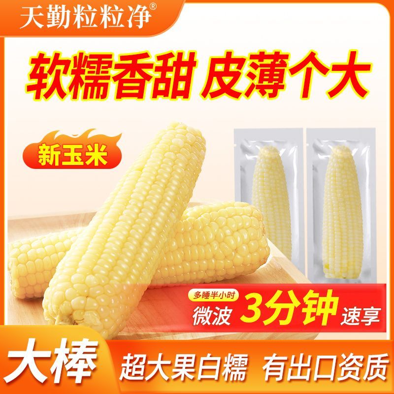 【天勤粒粒净】甜糯玉米300g-350g*8根非转基因真空新季大白糯玉米
