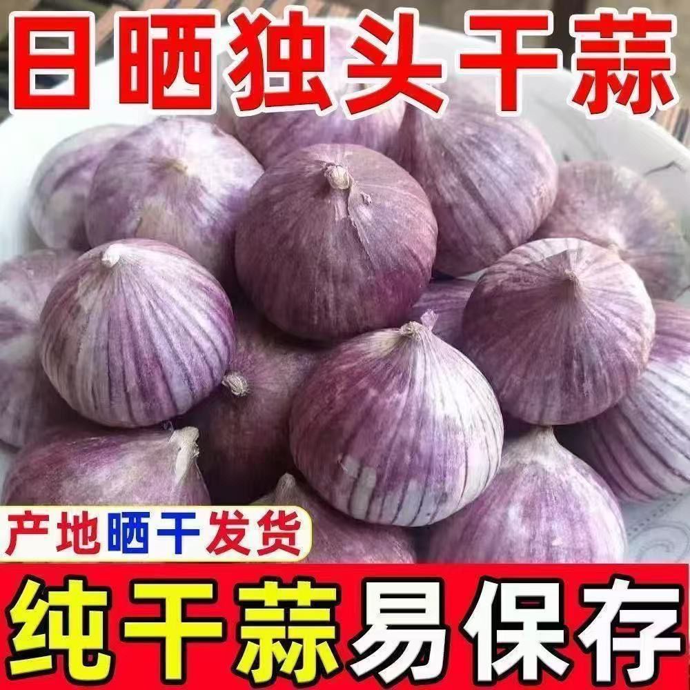 干蒜紫皮独头蒜现挖湿蒜独蒜红皮蒜大蒜批发新大蒜2026年新鲜蔬菜