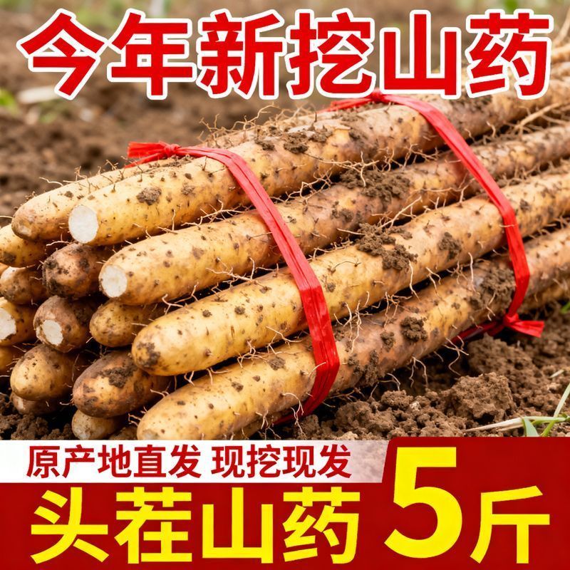蠡县垆土铁棍山葯正宗铁杆山药河北淮山葯当季蔬菜粉糯现挖新鲜