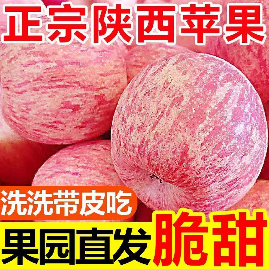 2026应季新鲜采摘陕西白水富士脆甜微酸基地直发带皮吃孕妇可食用