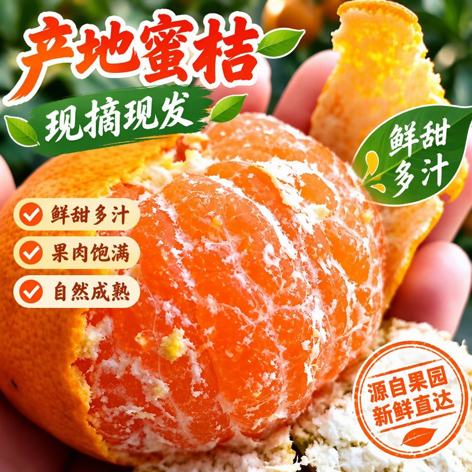 蜜橘鲜甜多汁橘子新鲜黄皮雪杉蜜桔无核孕妇柑桔水果当季桔子薄皮