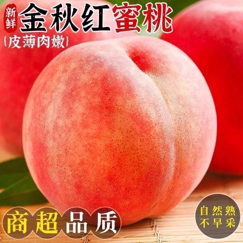 山东金秋红蜜桃毛桃水蜜桃当季新鲜桃子整箱包邮爆甜脆甜口感现摘