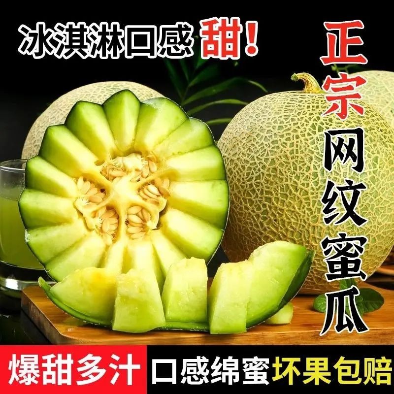 山东网纹蜜瓜绿肉哈密瓜软糯香甜时令新鲜应季当季产地甜瓜包邮