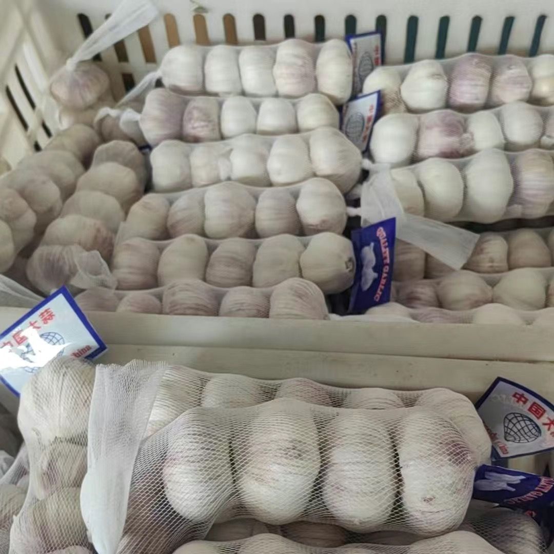 【网兜装】邳州大蒜2026年新鲜干蒜头紫白皮大蒜特级净蒜大蒜