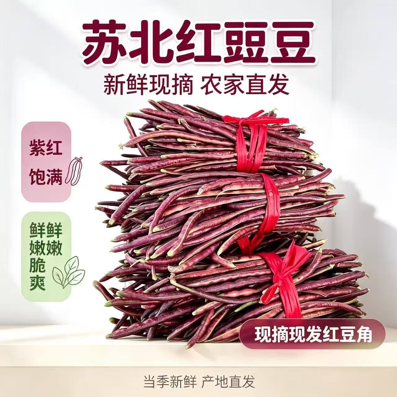 苏北农家现摘现发红豆角新鲜采摘红豇豆紫豆角紫肉豆角当季蔬菜