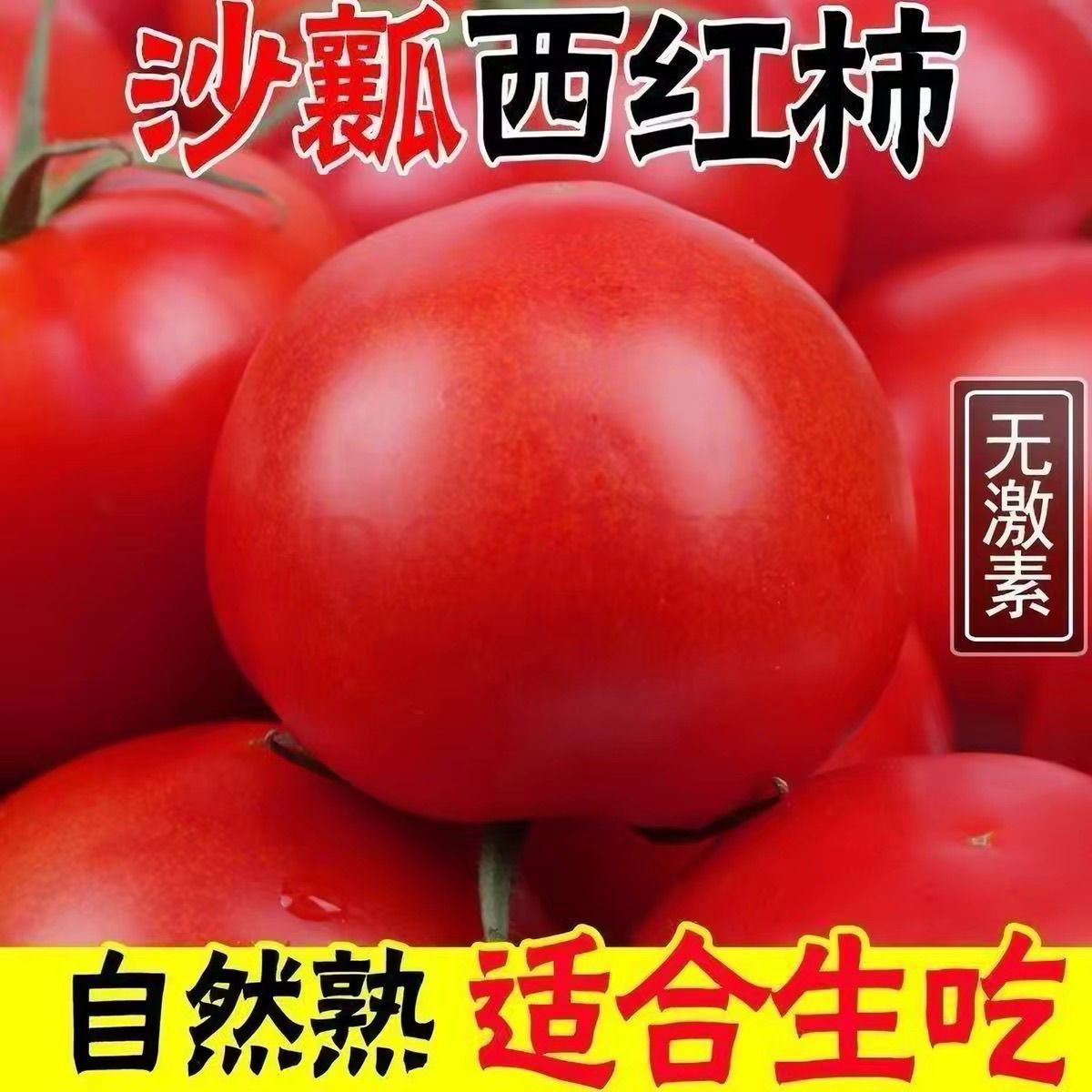 云南老品种番茄露天西红柿新鲜自然现摘现发沙瓤农家蔬菜生吃