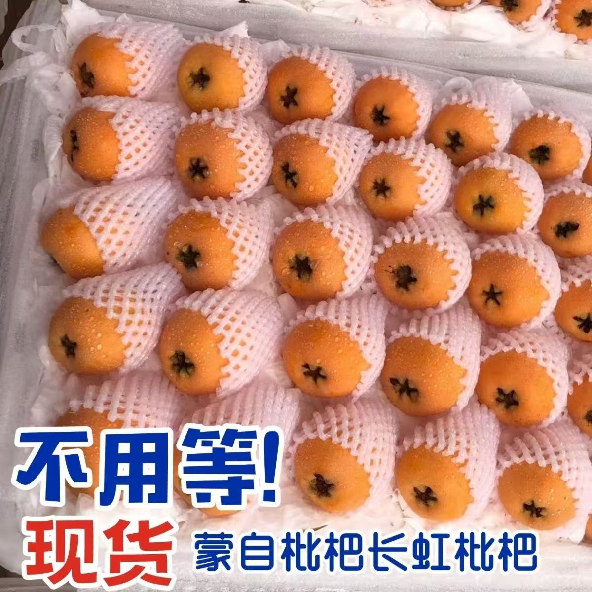 【产地发货】云南蒙自高山枇杷果当季水果自家果园采摘新鲜