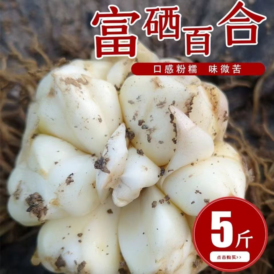 恩施高山富硒地区百合食用新鲜百合正宗大白正品鲜白合微苦糯无硫