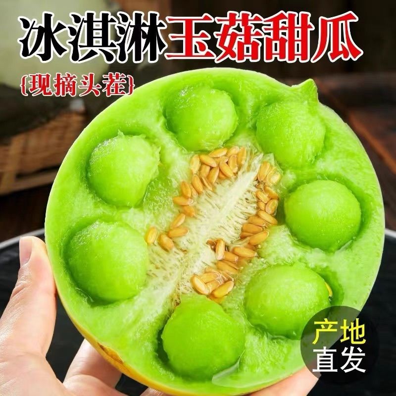 田里谷驹山东冰淇淋玉菇甜瓜新鲜现摘当季蜜瓜玉菇新鲜水果整箱