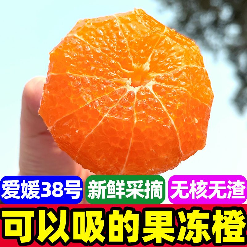 【彩箱】正宗爱媛38号果冻橙眉山手剥柑桔橙子当季孕妇新鲜水果