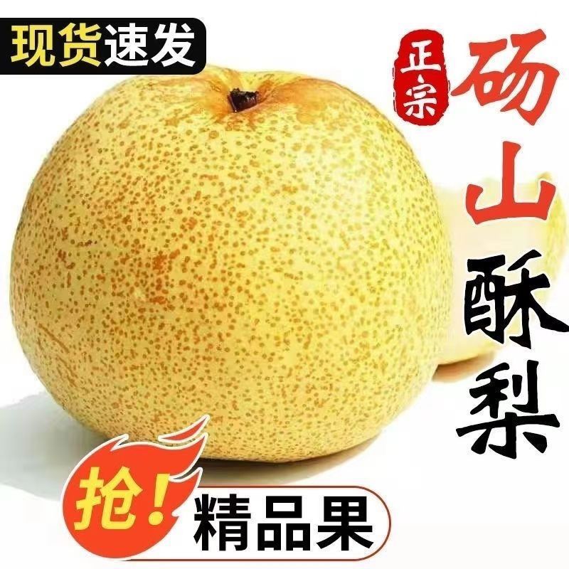 【头茬爆甜】正宗砀山酥梨薄皮脆甜当季新鲜梨子贡梨雪梨批发整箱