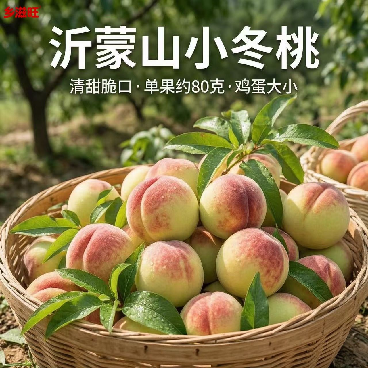 沂蒙山正宗小冬桃当季毛桃新鲜水果现摘青皮脆桃口感偏硬桃子新鲜