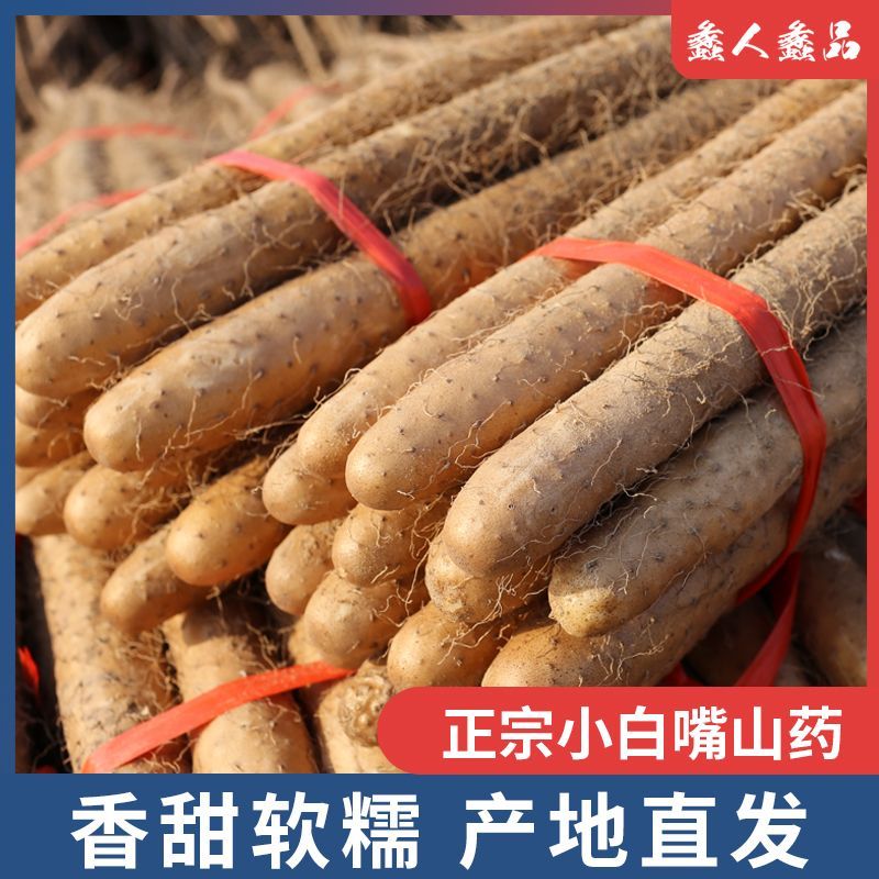 新鲜好吃软糯小白嘴山药煲汤蒸煮营养代餐4斤铁棍淮山山药
