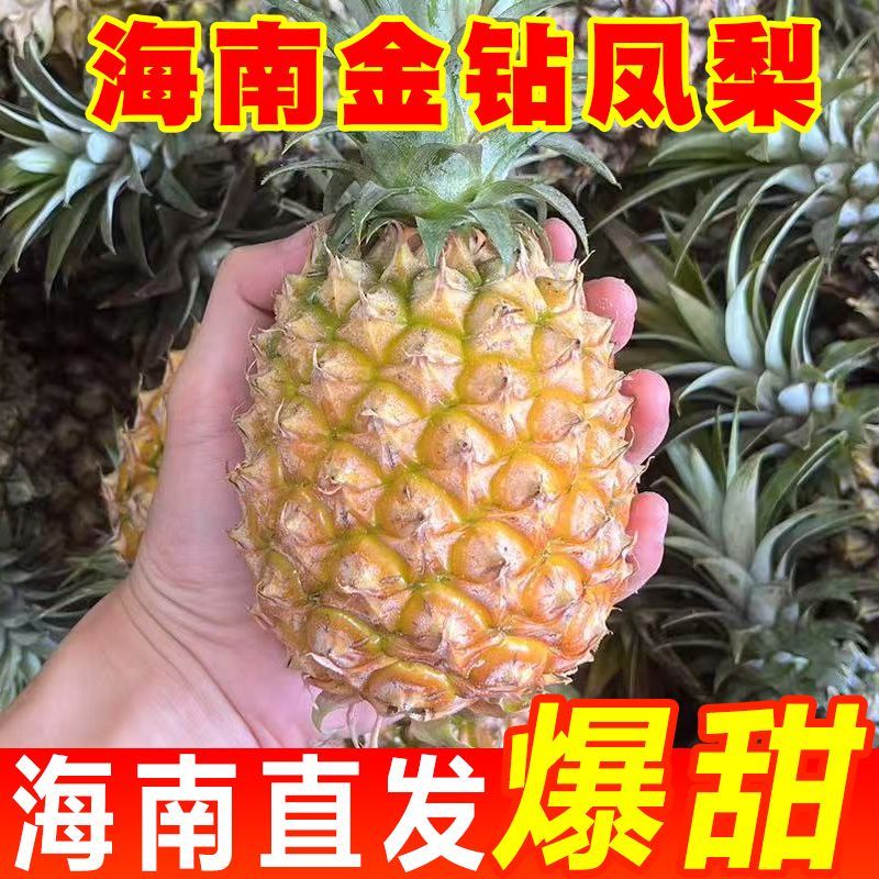 正宗海南金钻凤梨整箱当季现摘爆汁台农17号无眼新鲜菠萝水果彩箱