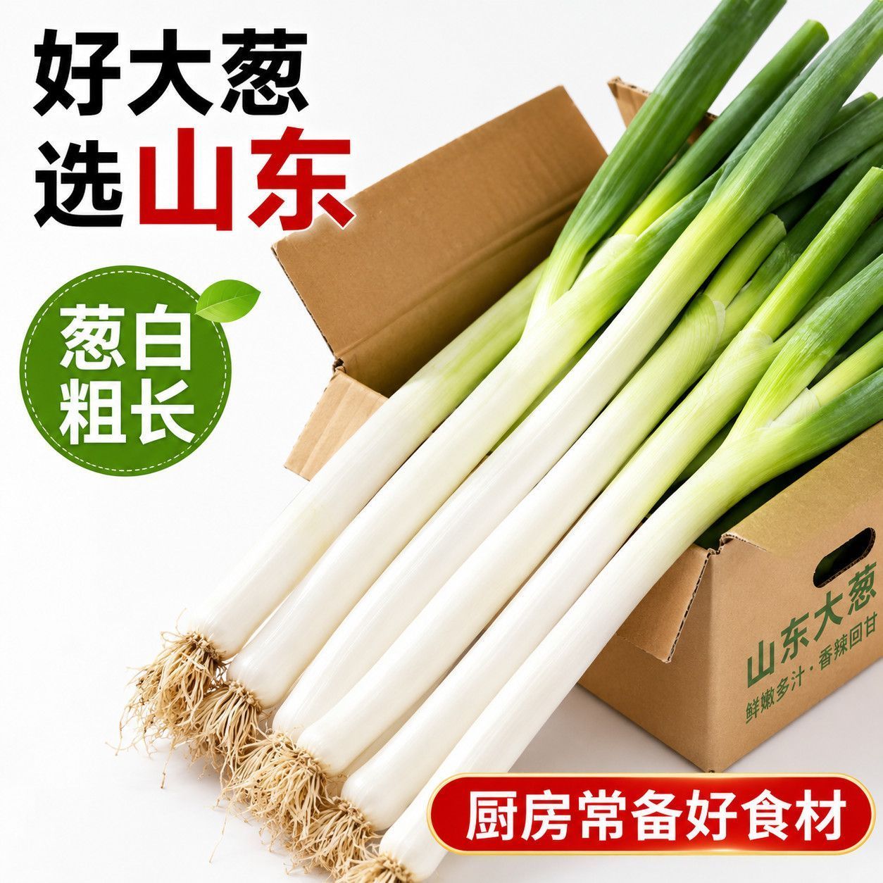 山东铁杆大葱批发新鲜大葱香葱甜葱生吃现挖时令蔬菜
