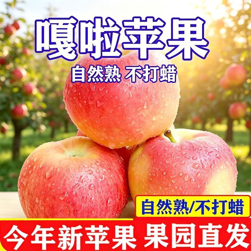 2026云南昭通苹果噶拉当季水果新鲜水果粉面沙甜多汁4.5斤普箱装