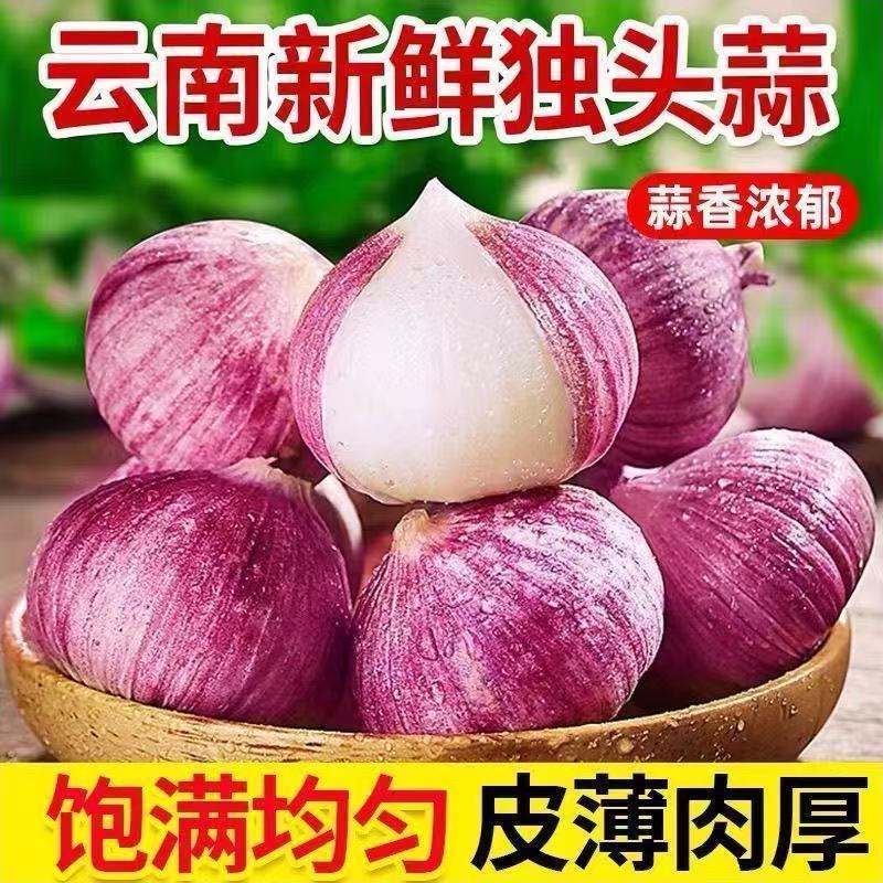2026紫皮独头蒜干蒜农家红皮新鲜蒜头正宗独蒜批发调味蔬菜