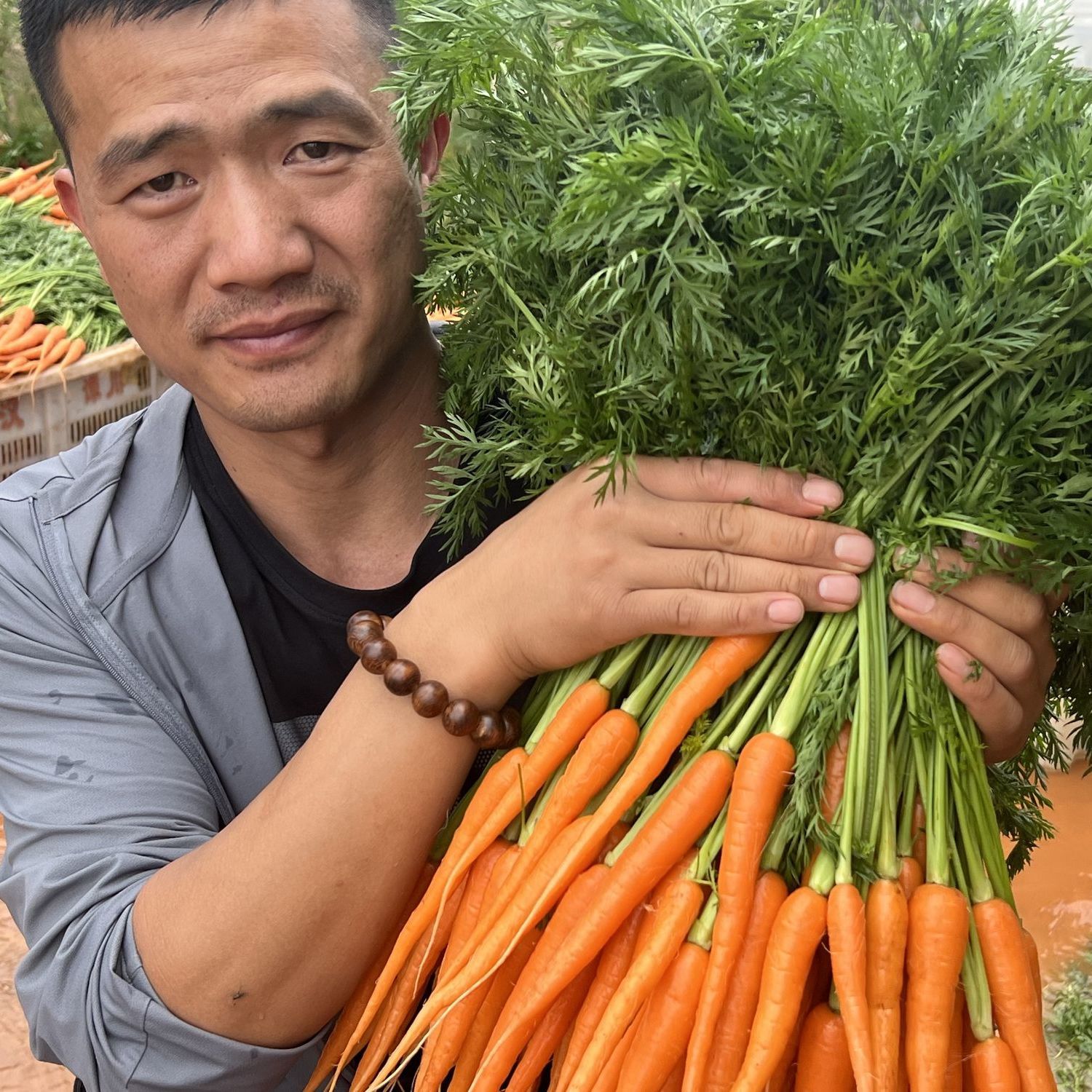 迷你带叶胡萝卜新鲜小个手指胡萝卜宝宝水果辅食带叶胡萝卜