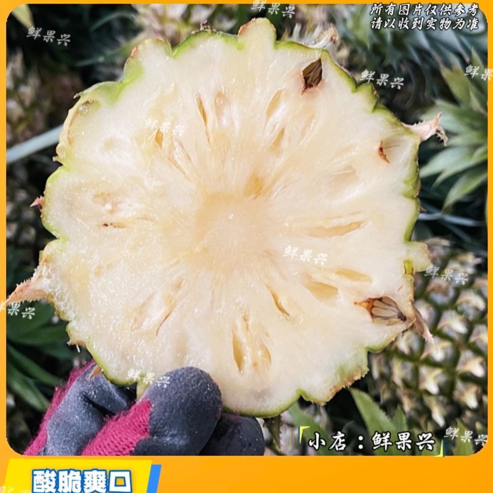 新鲜菠萝果肉应季水果当季果肉白脆爽绿色除甲醛商用新鲜清仓批发