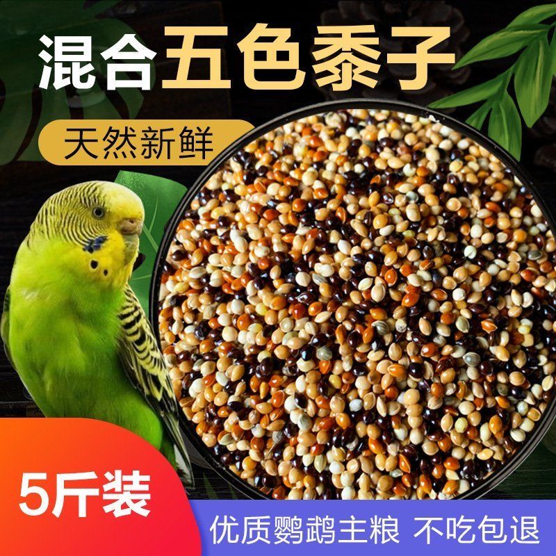 10大斤五色混合黍子虎皮牡丹玄凤鹦鹉鸟食糜谷子文鸟饲料鹦鹉鸟粮