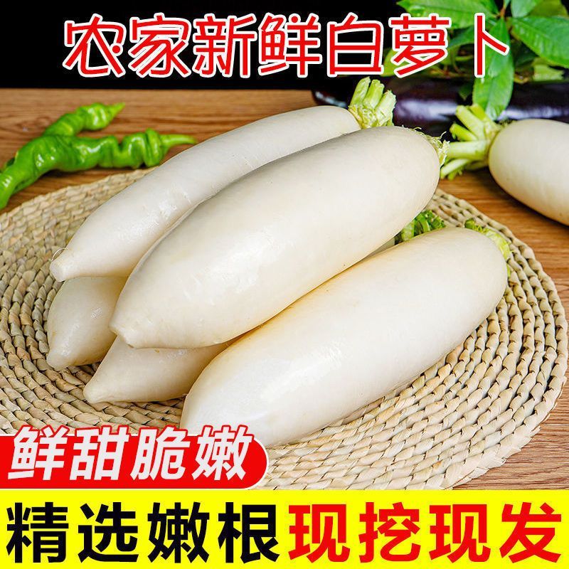 白萝卜水洗农家新鲜现挖水果自种泡菜腌菜甜脆露天蔬菜当季清脆