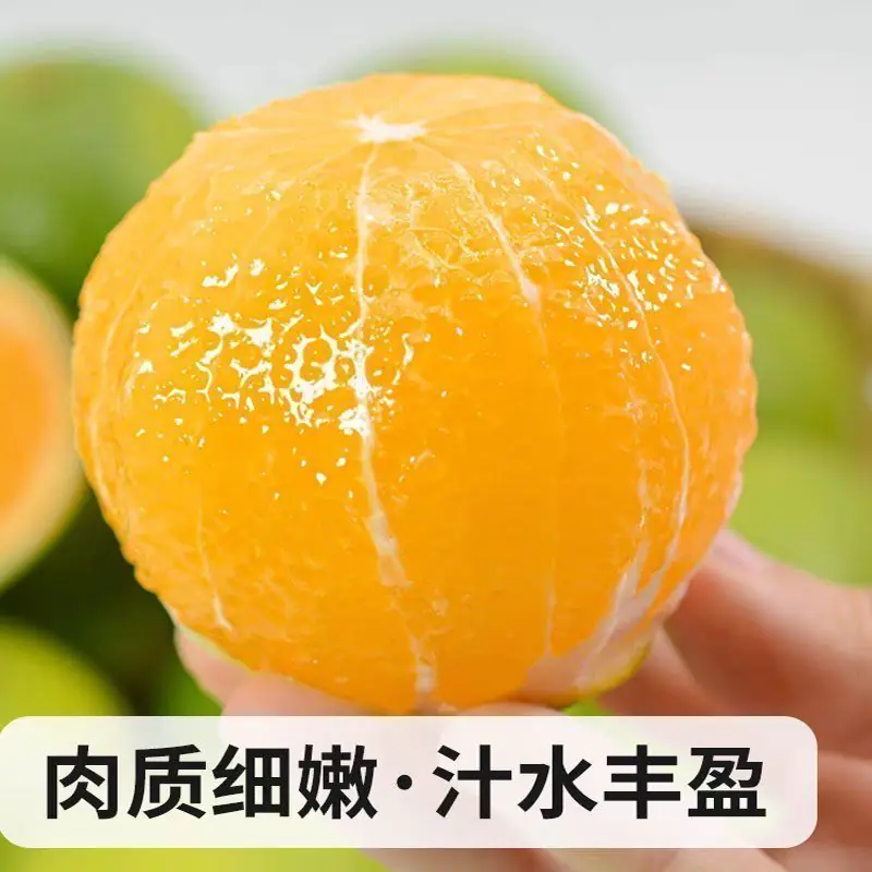 现摘现发云南哀牢山冰糖橙新鲜应当季孕妇水果整箱手剥皮橙子直发