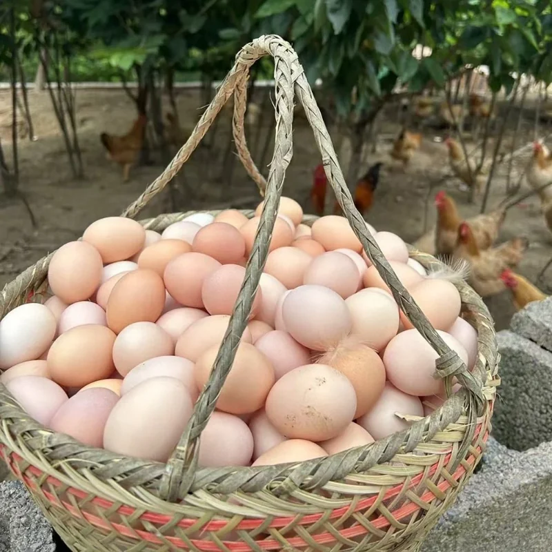 九华山散养土鸡蛋30枚可生食产地直发新鲜送货上门净重1200g