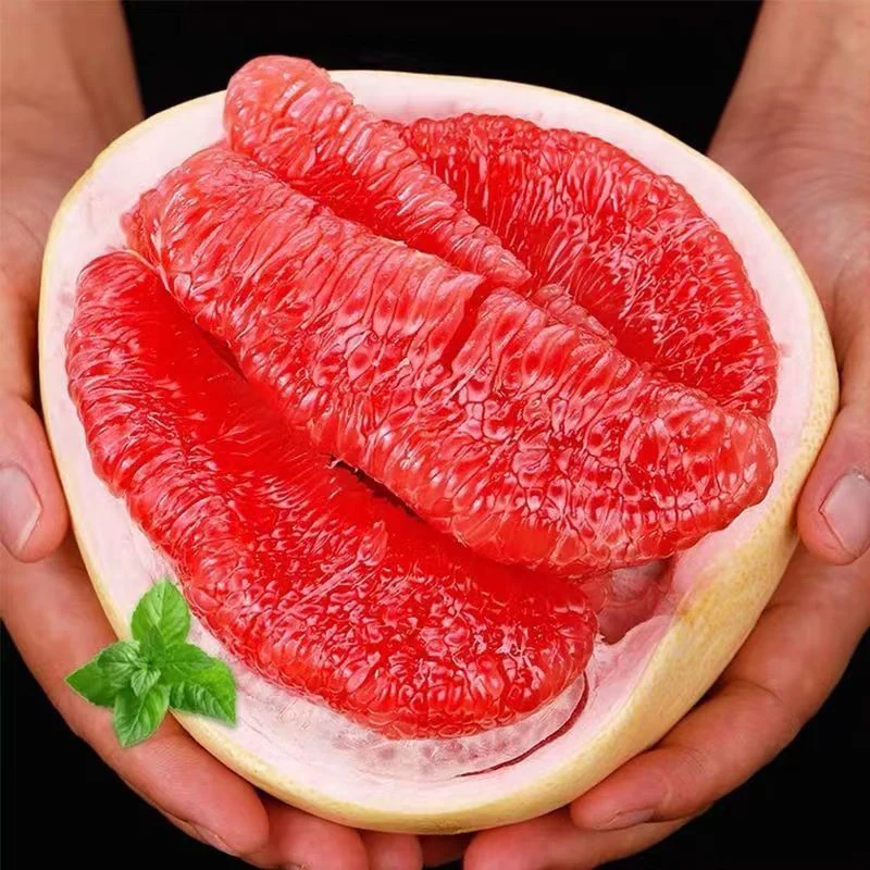 正宗福建红心柚子红肉蜜柚皮薄现摘新鲜当季甜蜜柚水果香甜爆汁