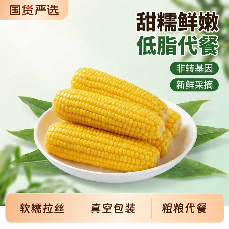 头茬新鲜非转基因黄糯玉米真空装加热即食软糯香甜糯粗粮早餐代餐