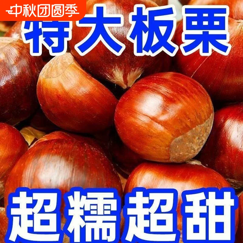 辽宁农家新鲜生现摘丹东板栗栗子锥油栗仁蔬罗田大板栗鲜板栗双11