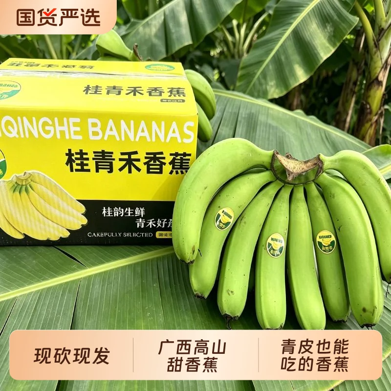 广西高山青皮香蕉现摘现发自然熟香甜软糯整箱新鲜应季水果单根