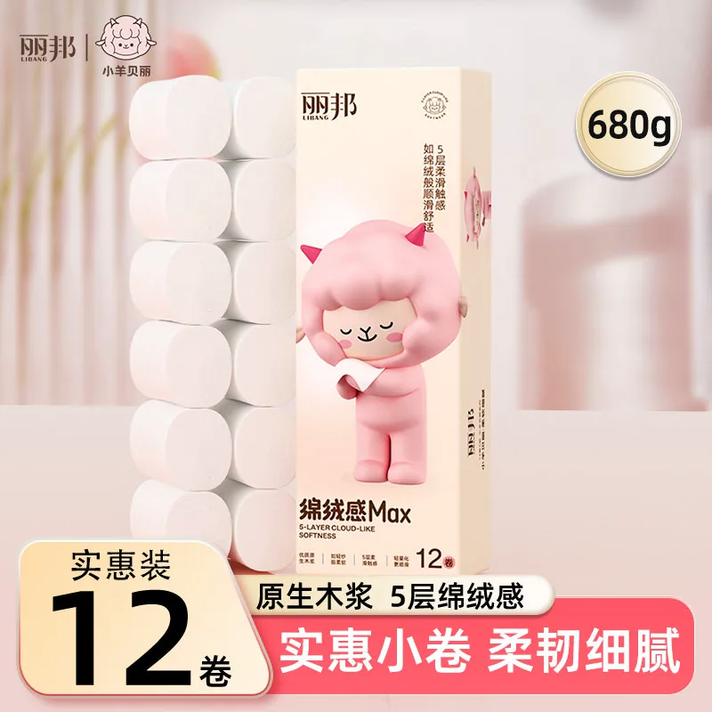 丽邦卷纸12卷约680g家用卫生纸实惠装厕所手纸厕纸卷筒纸