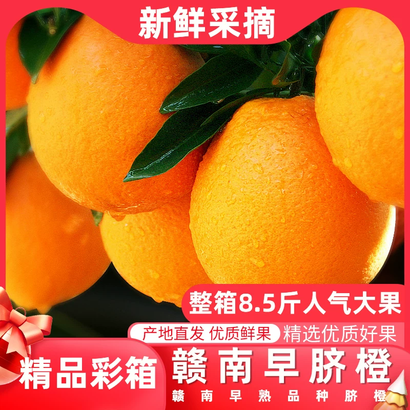 正宗赣南早脐橙5斤水果纽荷尔脐橙新鲜水果汁橙子整箱采摘保存