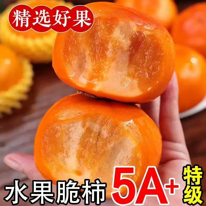 巧克力脆柿子新鲜水果脆甜柿子冰糖心特产应季脆皮柿子现摘甜脆柿
