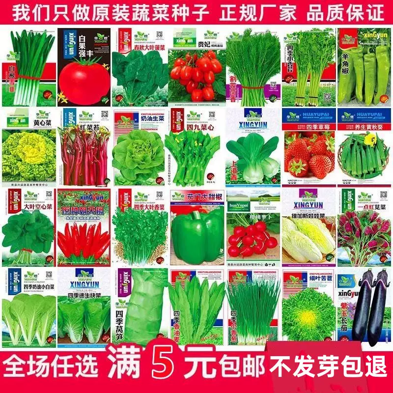 蔬菜种子四季播春季易种盆栽庭院阳台简单春番茄甜瓜黄瓜籽孑大全