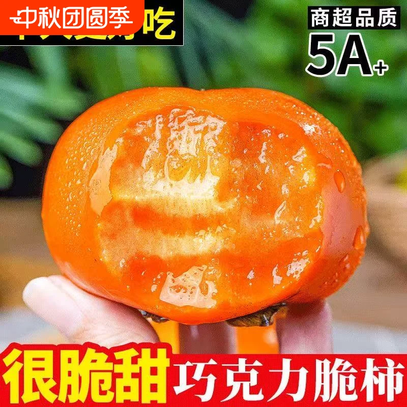 脆柿子新鲜水果当季甜柿子巧克力脆柿冰糖心硬柿子应季脆甜保存