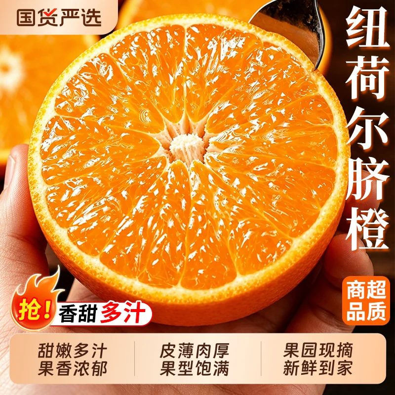 正宗纽荷尔脐橙新鲜水果现摘手剥橙子高山冰糖甜橙应当季整箱包邮